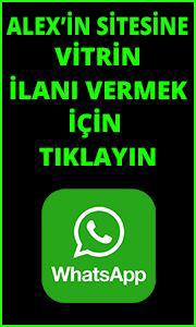 alexvitrin1